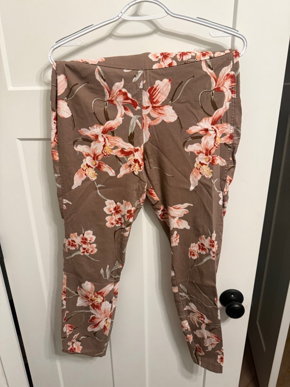 New York & Company Taupe Floral Cropped Pants